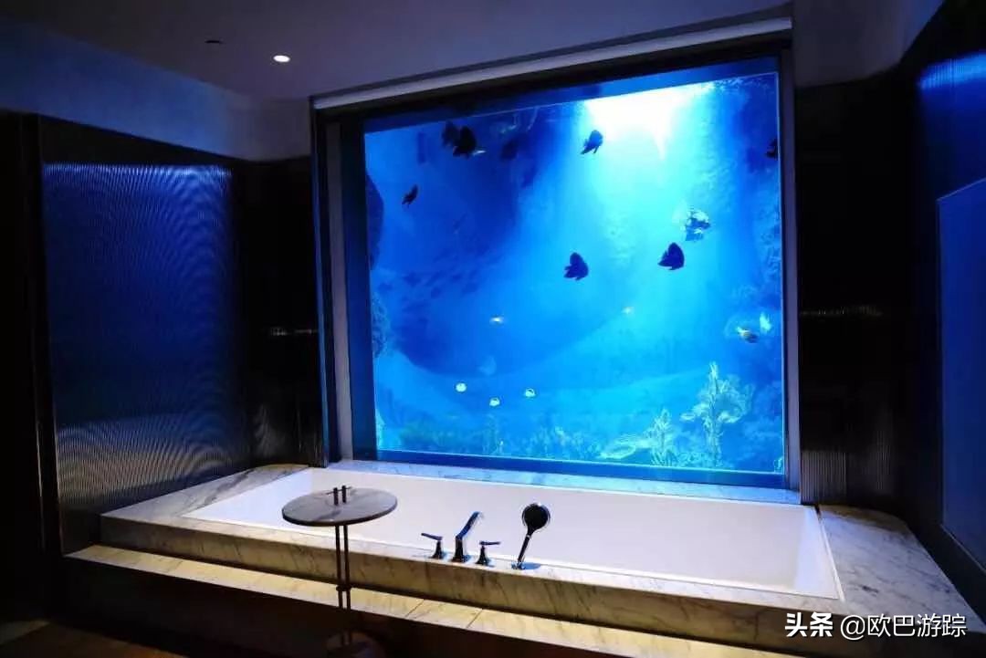 全球唯一八星级酒店耗费200亿打造,世界十大奇迹建筑深坑酒店