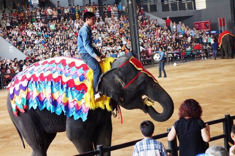 泰国十大私人园林,泰国游之旅