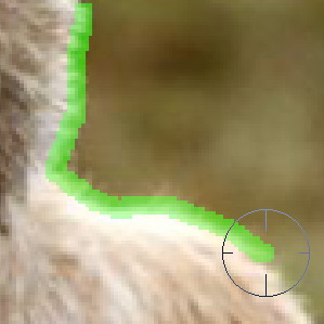 如何用photoshop抠图新手入门教程,photoshop快速抠图几种方法