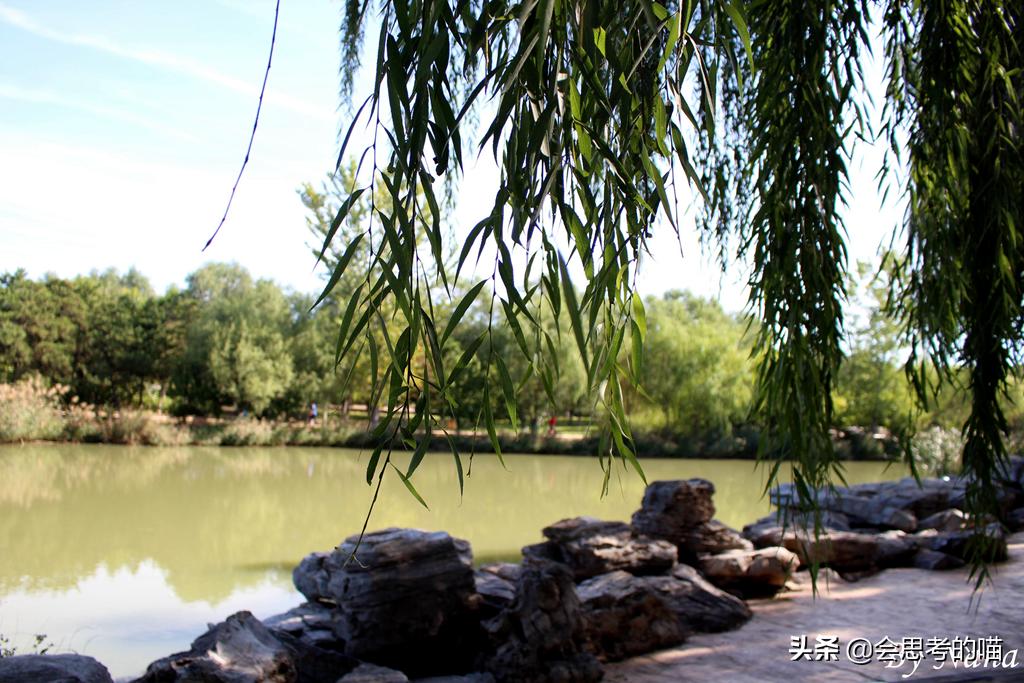 大兴南海子公园还开放吗,南海子公园现在开门了吗