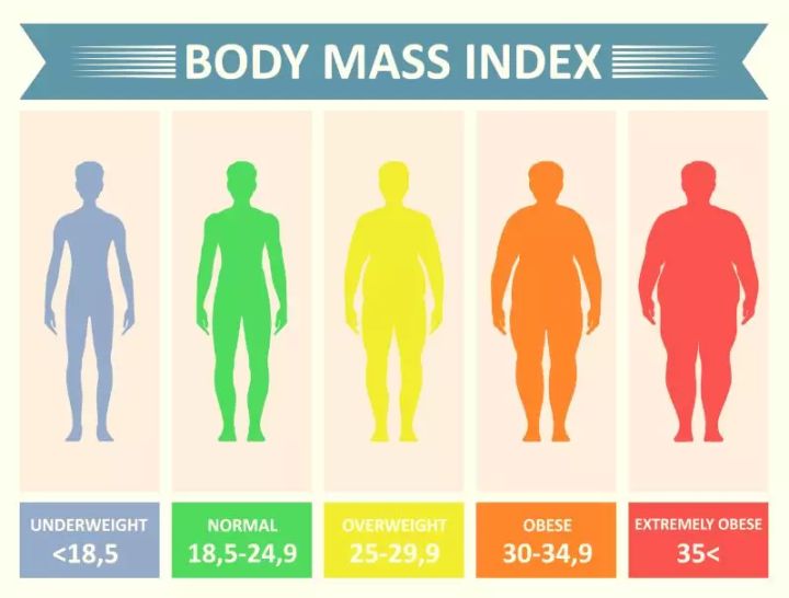 猪的体脂率平均只有15%,猪的体脂率只有15%原来猪都比你瘦