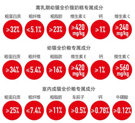 一个月的小猫可以吃羊奶泡奶糕吗,两个月小奶猫吃什么零食