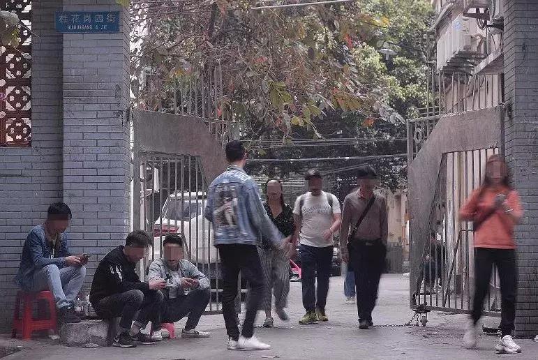 仿gucci的淘宝店,仿牌gucci批发