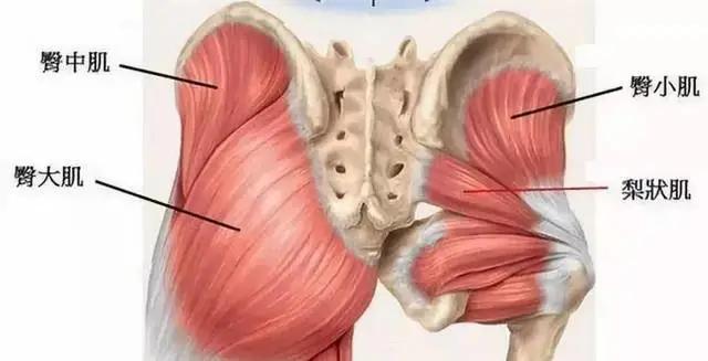 钱包越厚，屁股越痛？真的！它还有个医学名字