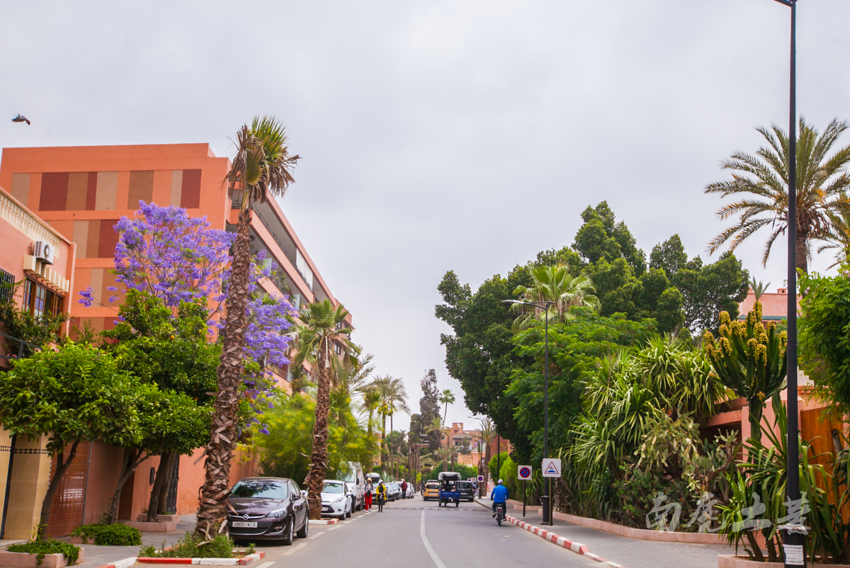 伊夫圣罗兰何时逝世,伊夫圣罗兰葬礼