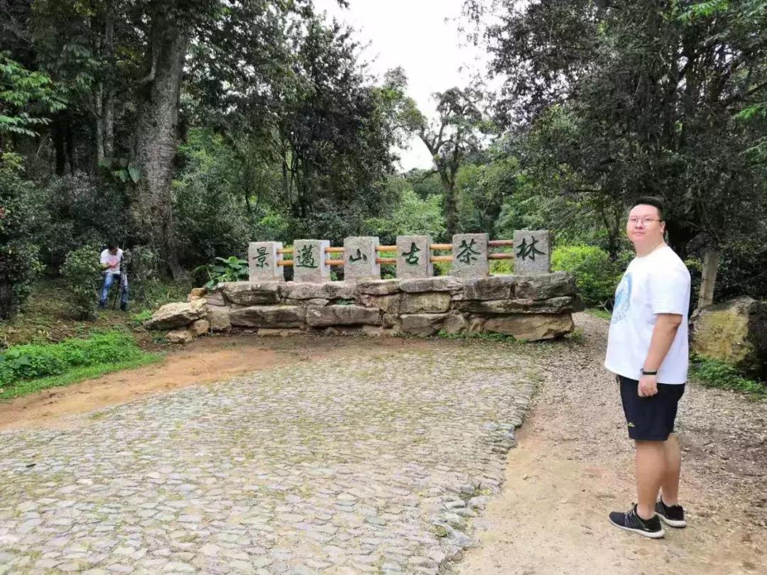 云南省普洱茶十大名茶,云南绿色食品十强评选办法