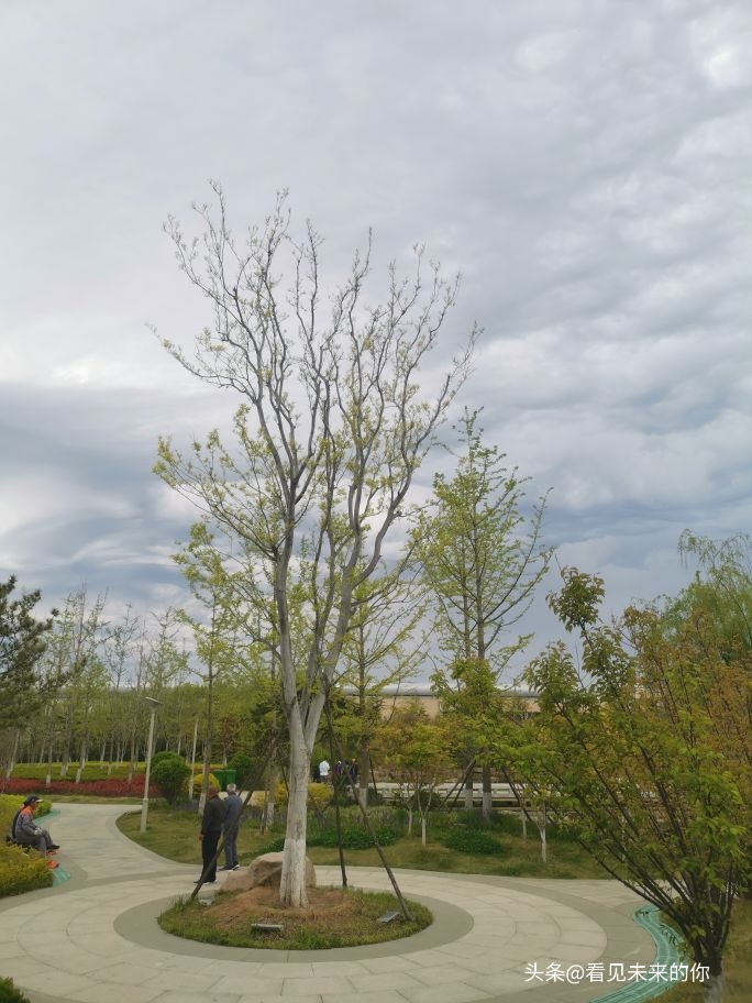 烟台开发区福莱山公园最新消息,烟台开发区福莱山公园喷泉时间