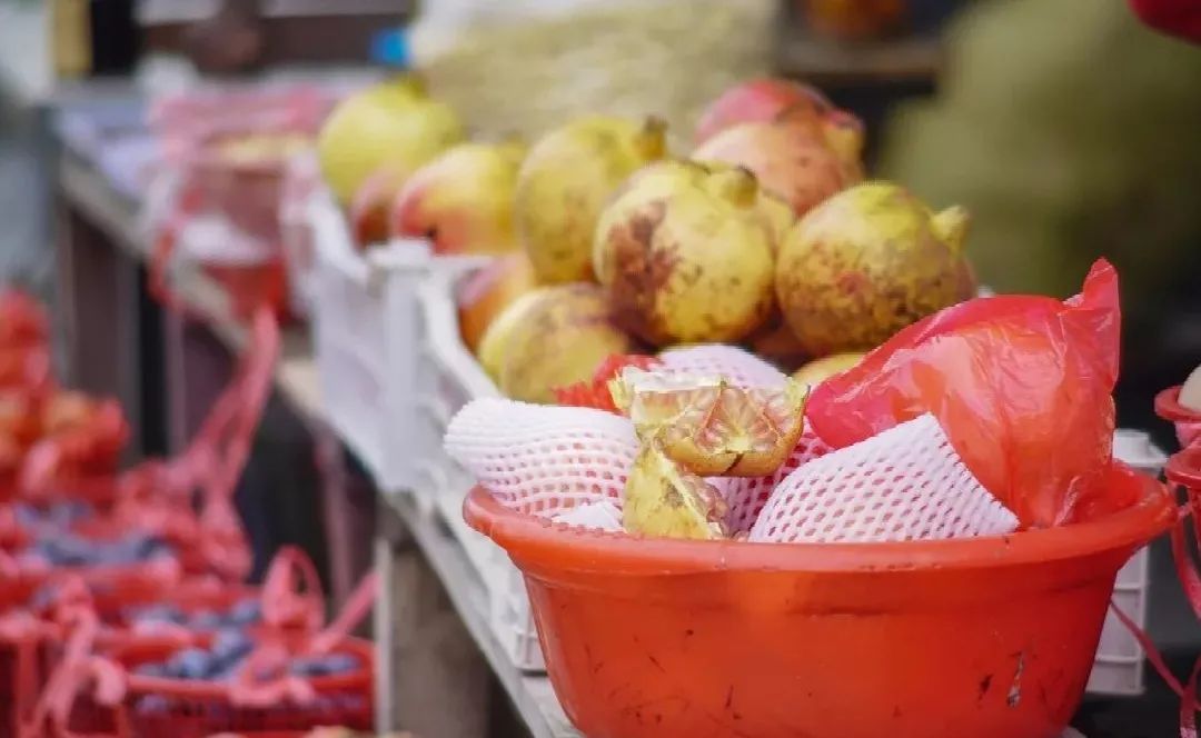 苏州西山十大知名农家乐有哪些,带你走一走苏州的太湖边农家乐