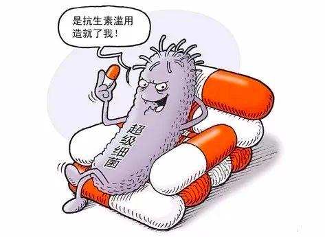 为什么人类是世界上最奇特的生物,细菌的演化过程