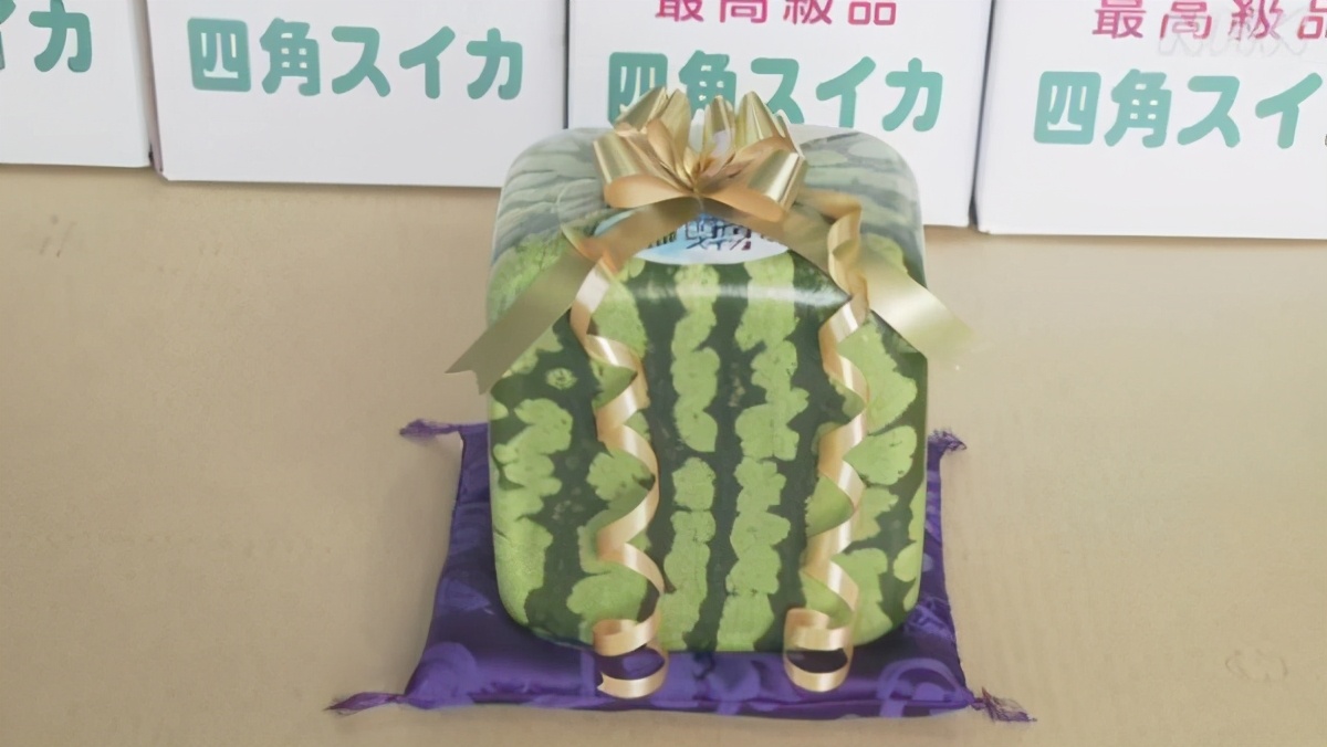 日本的水果价格真的那么离谱吗,日本的水果贵吗