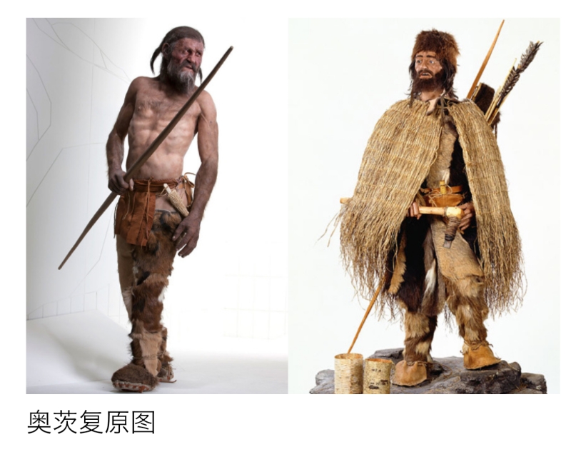 濂ュ吂鍐颁汉鏈В涔嬭皽,濂ヨ尐鍐颁汉姝诲洜