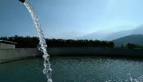 褚橙属于柑类吗,褚橙什么时间成熟