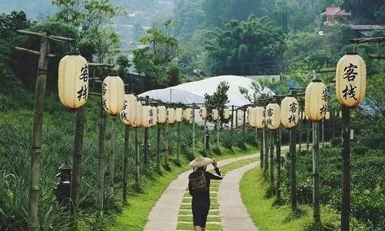 向往的田园生活的感悟,向往田园生活能让人内心宁静