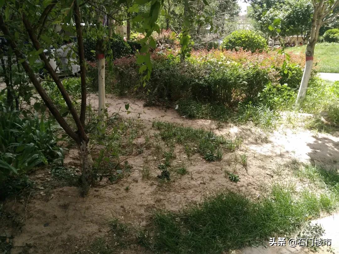 实探这个小区值得买吗,实探房价