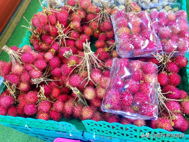 西双版纳热带雨林有什么水果,西双版纳现在有啥好吃的水果