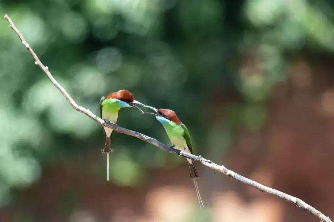 荆门市简介,荆门是什么样的地方