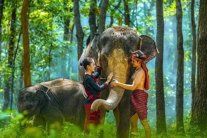 西双版纳泼水节为什么那么隆重,西双版纳泼水节的风俗和寓意