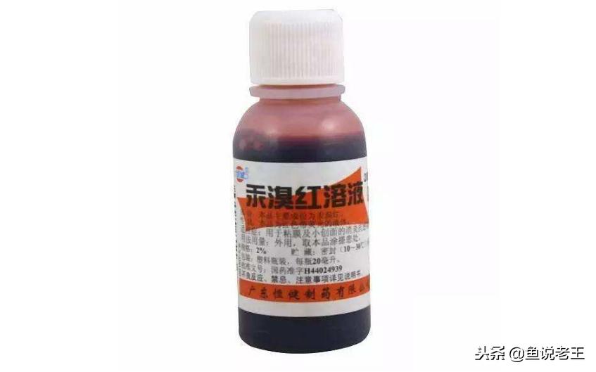 预防鱼儿生病怎么下药,如何急救生病的鱼