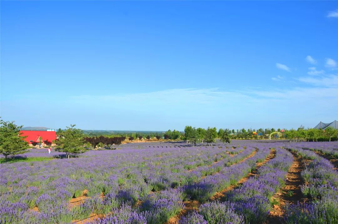 山东百强县2021年排名,山东2021百强县排名榜