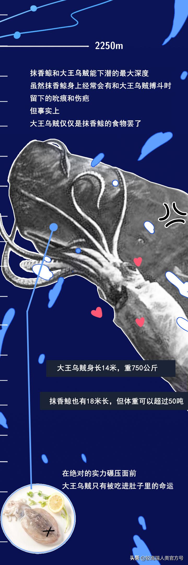 手机掉进水里十几秒有问题吗,手机掉入1000米