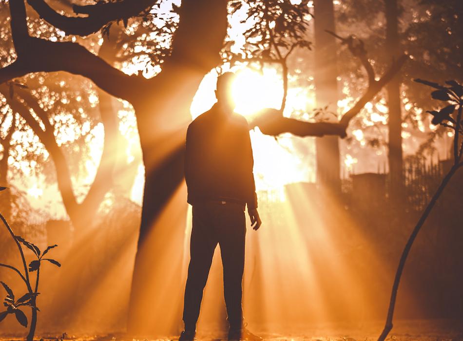 换脑手术能改变智商吗,全球第一例成功的脑手术