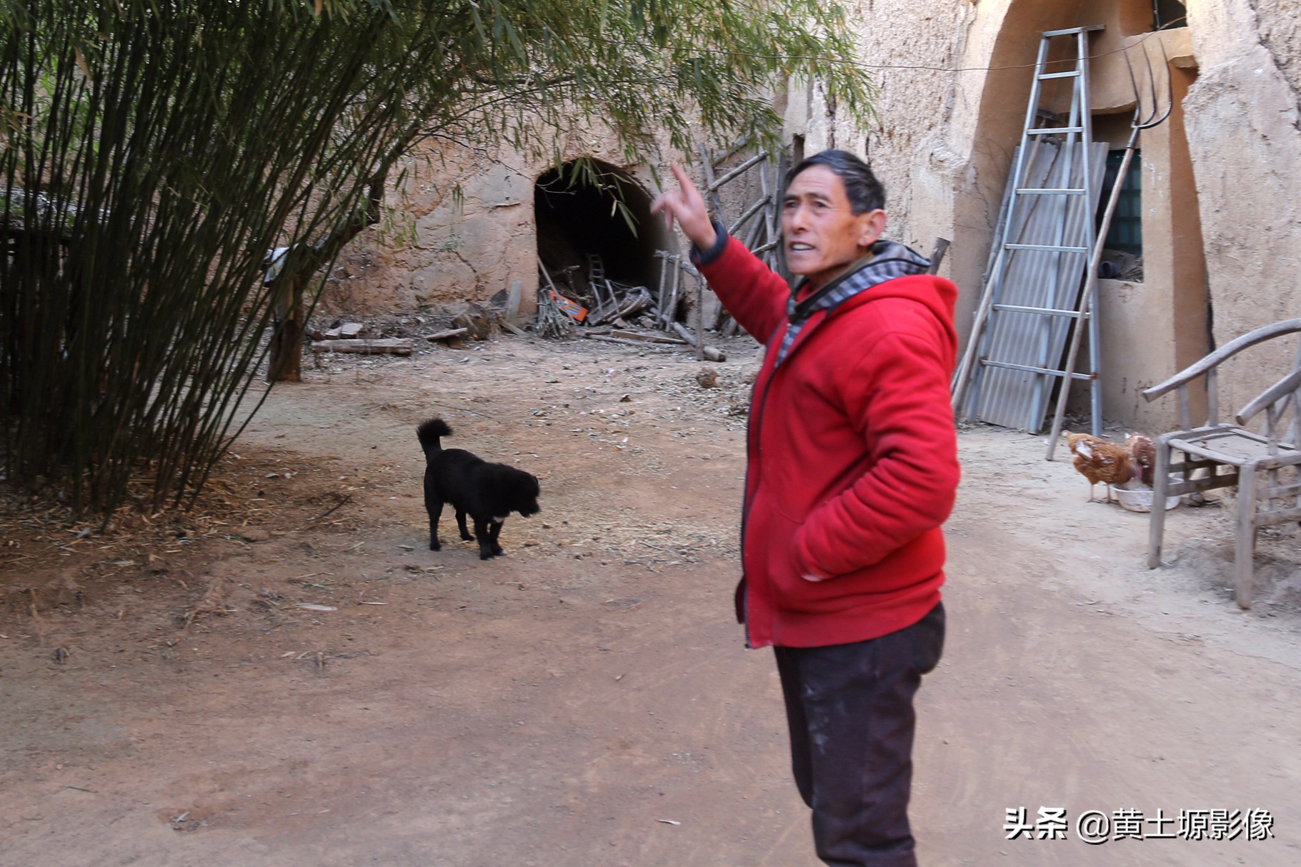 大叔在山上养小型凶猛土狗看家,农村大叔养十几条狗