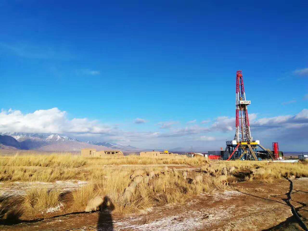 石油行业现在好就业吗,石油专业行业分析