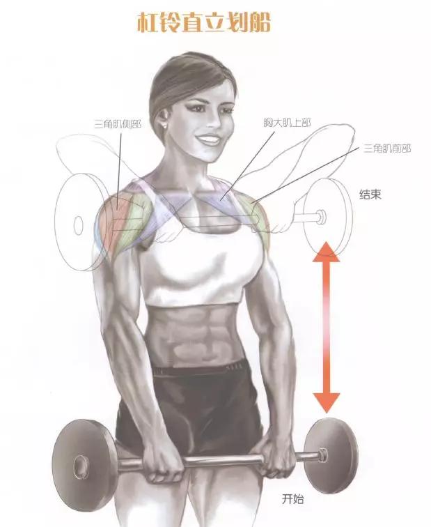 肩部肌肉训练有什么用,肩部训练肌肉线条的美感