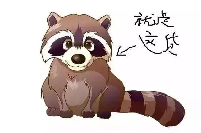 做完这期测评,朋友问我是不是吃“shi”了||美观测评