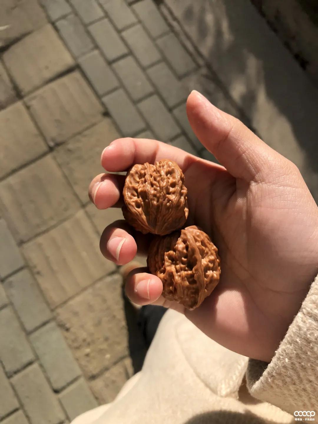 有毒！又一位宝藏小姐姐，玩核桃最爱“马虎”，朋友眼里是奇葩