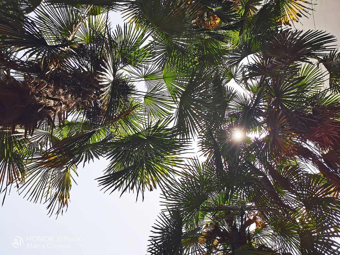 荣耀30与荣耀30pro谁更值得购买,荣耀30和荣耀30pro谁更适合入手