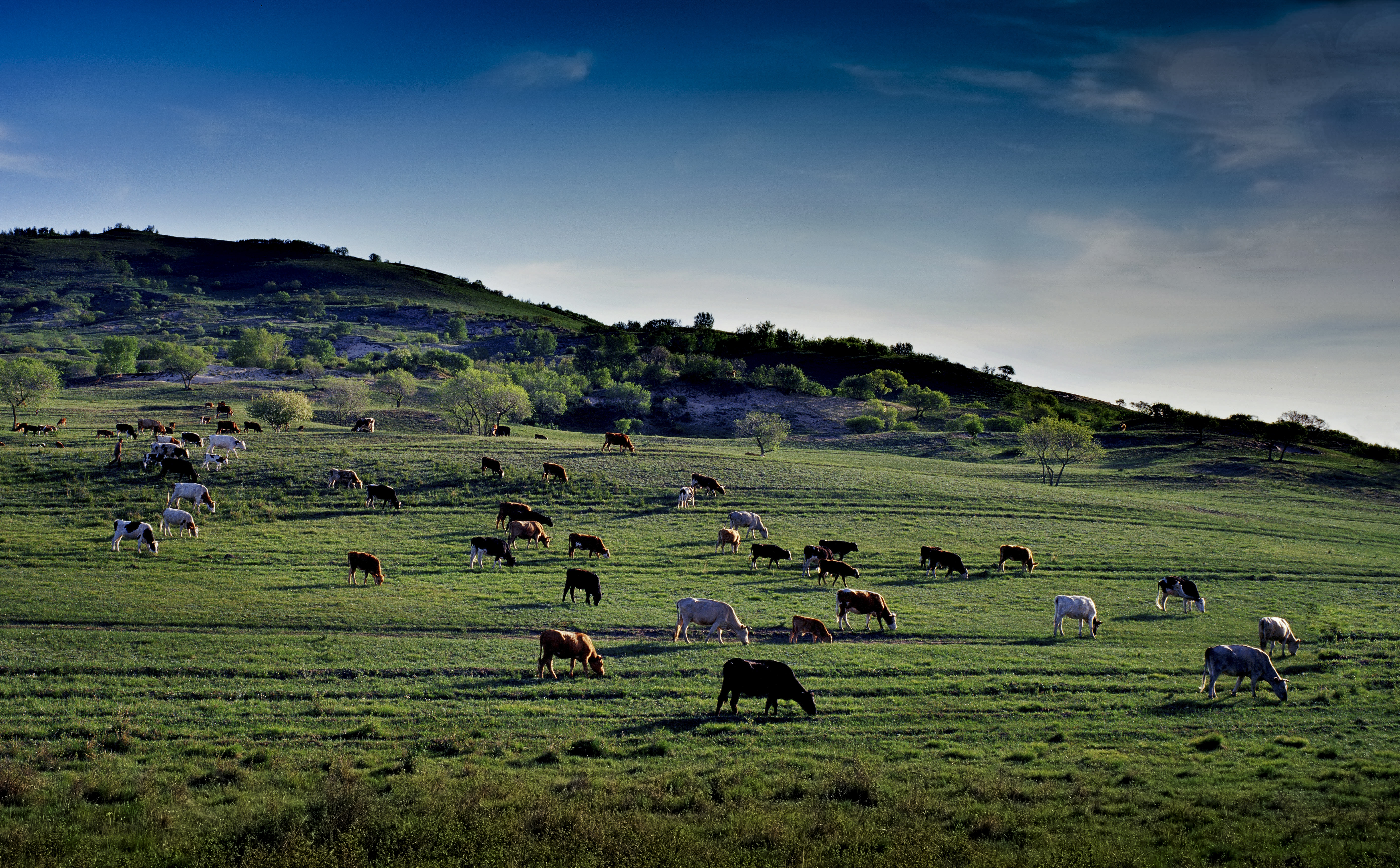 坝上草原天路美景,大美坝上风光系列之一