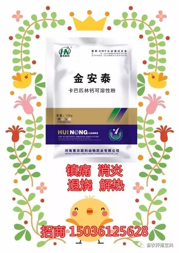 猪反复发烧，别担心！以下方法轻松解决！