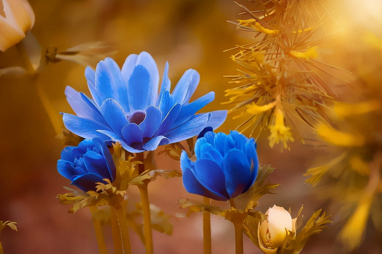 人到中年最要紧的是努力赚钱,人到中年赚钱才是最大的清醒
