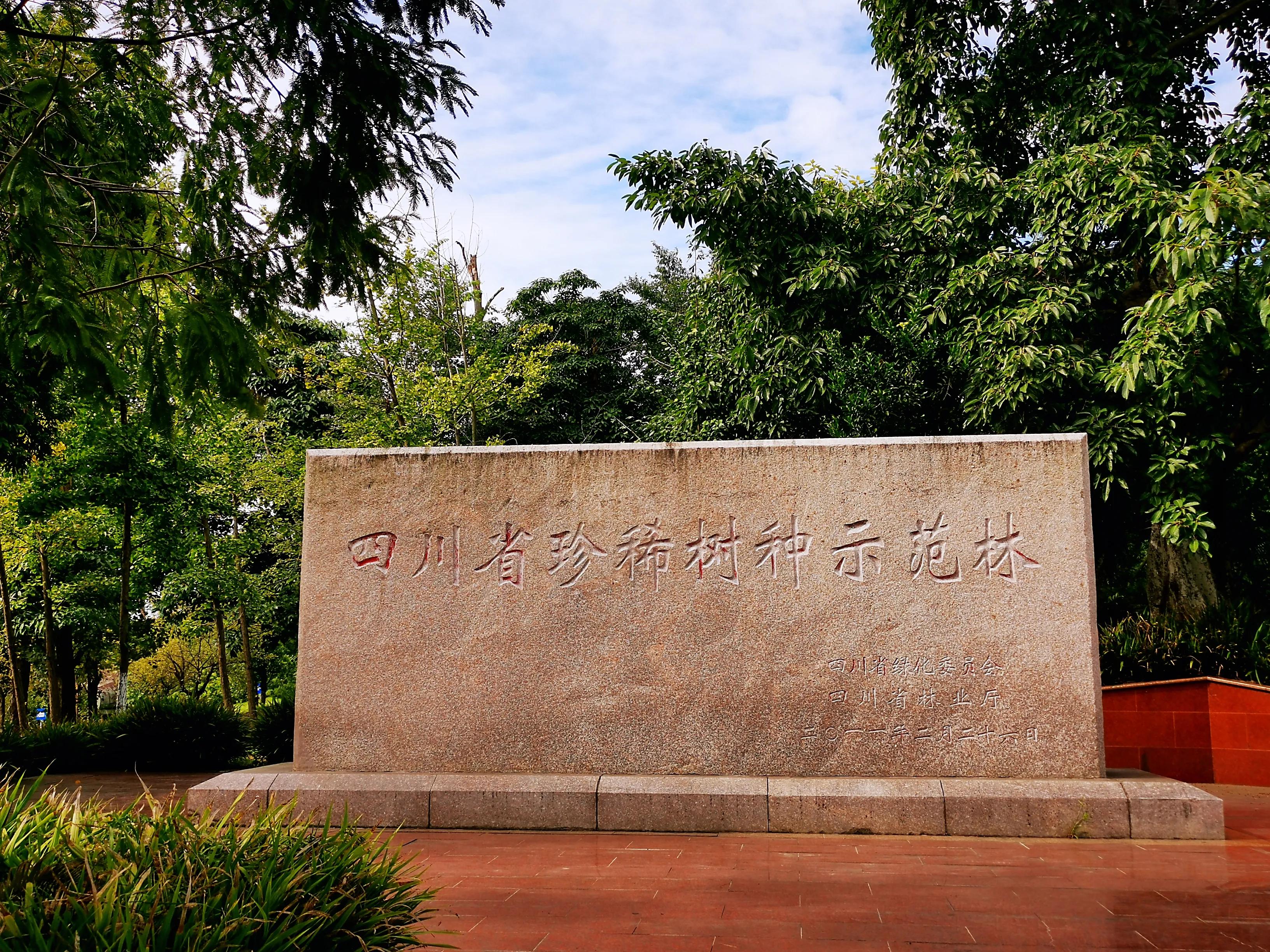 老成都的回忆完整版,老成都的记忆电烤肉串