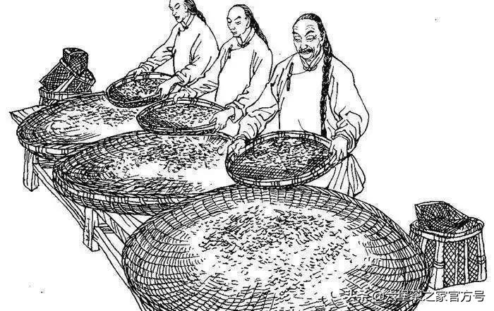 六堡茶味道怎样,六堡茶的滋味香气特点