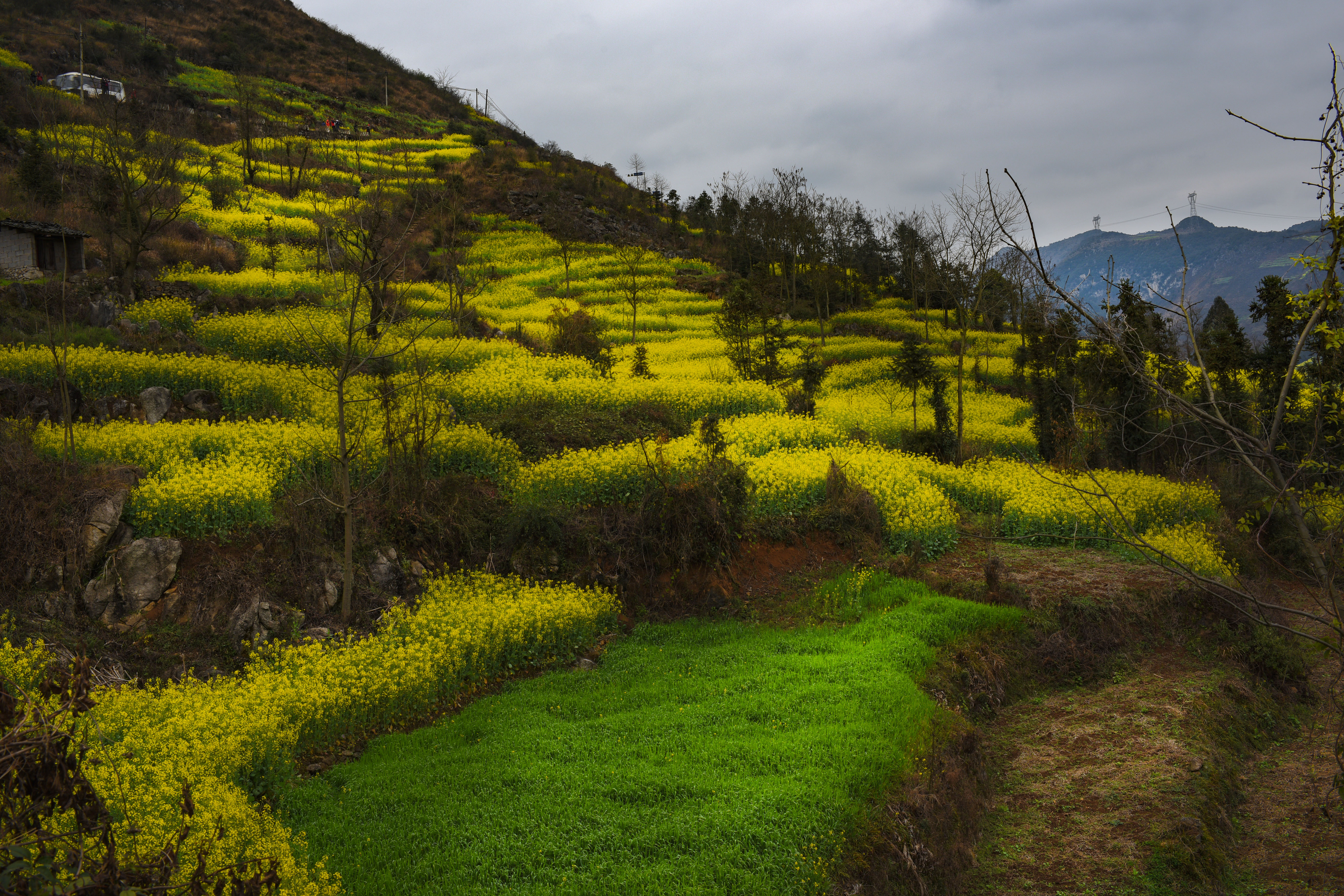 东川红土地螺蛳湾看日落最佳地方,下雨天的螺蛳湾