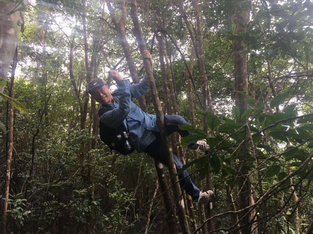 看花与哲学有什么关系？听听博物君刘华杰怎么说|荐展No.80