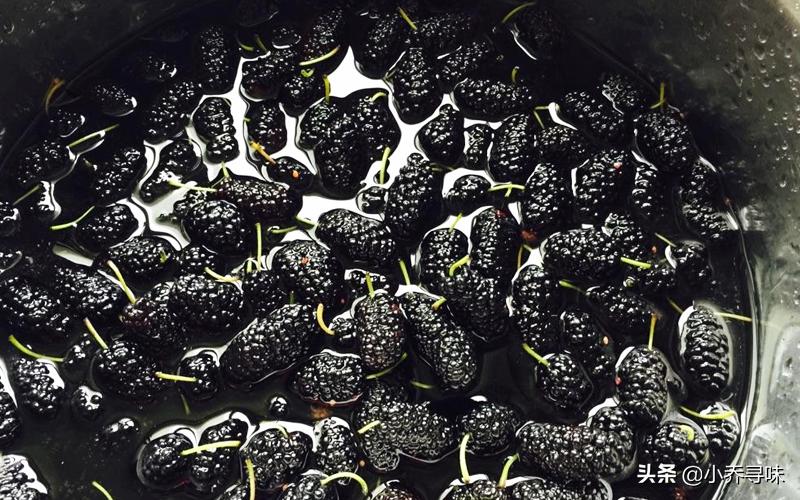 桑葚不加酒怎么酿酒,桑葚不放糖怎么泡酒最正确