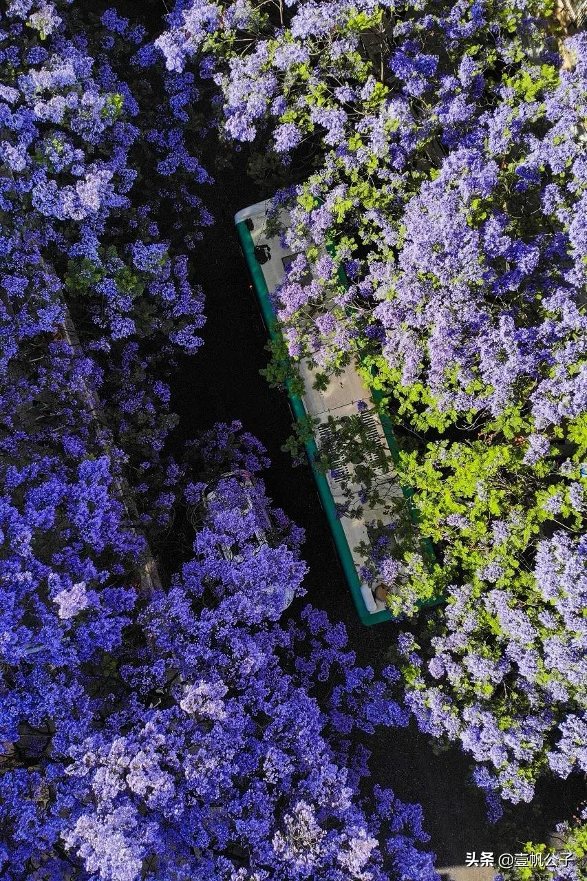 被大理的美景所折服,被丽江的风景美到了