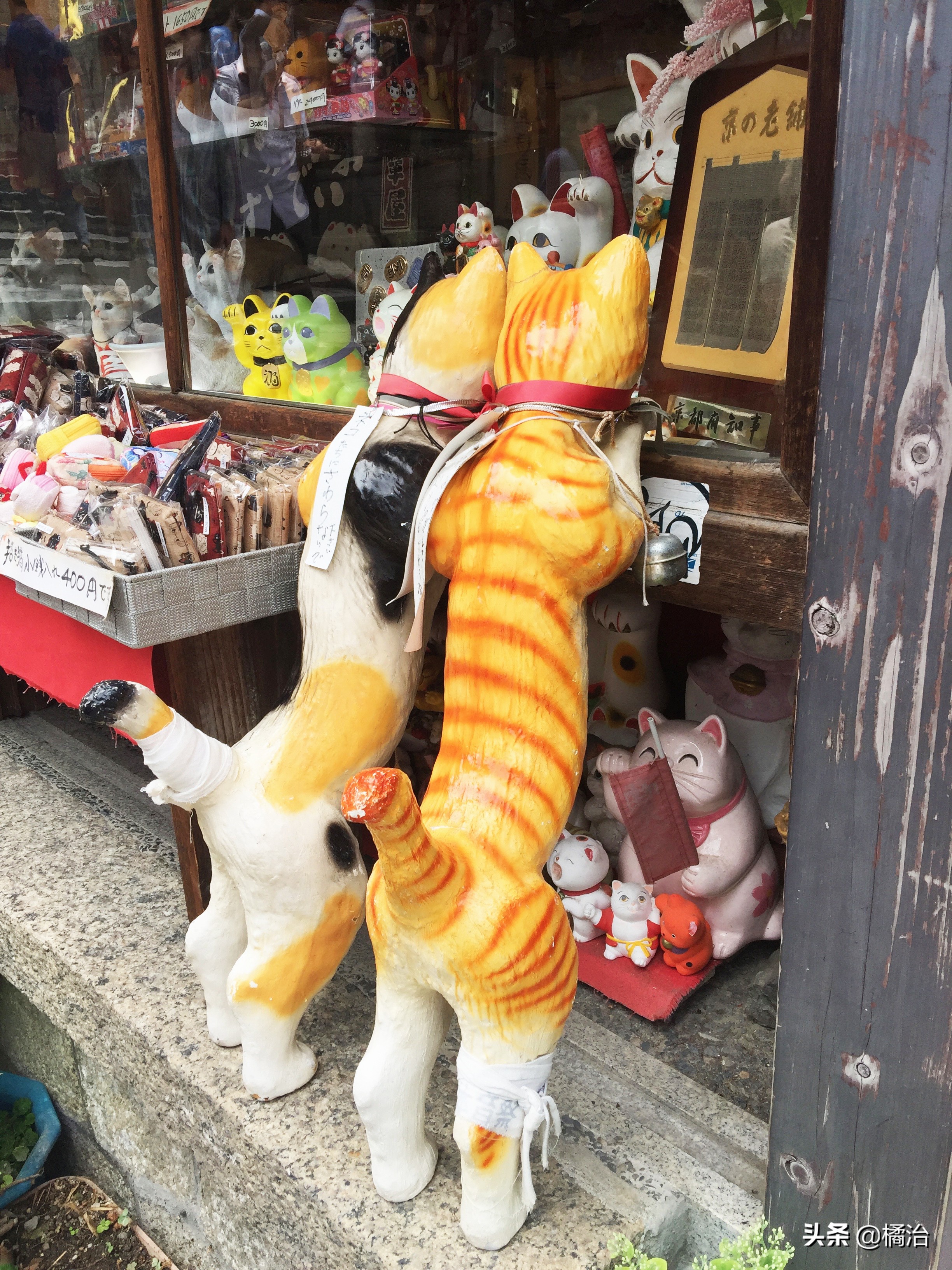 日本清水寺旅游攻略,日本游京都清水寺