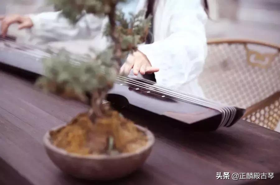 10大步骤古琴学习法助你高效学琴,如何学习古琴的基本指法