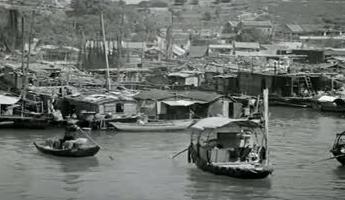 杨受成与明星关系,杨受成成长历程