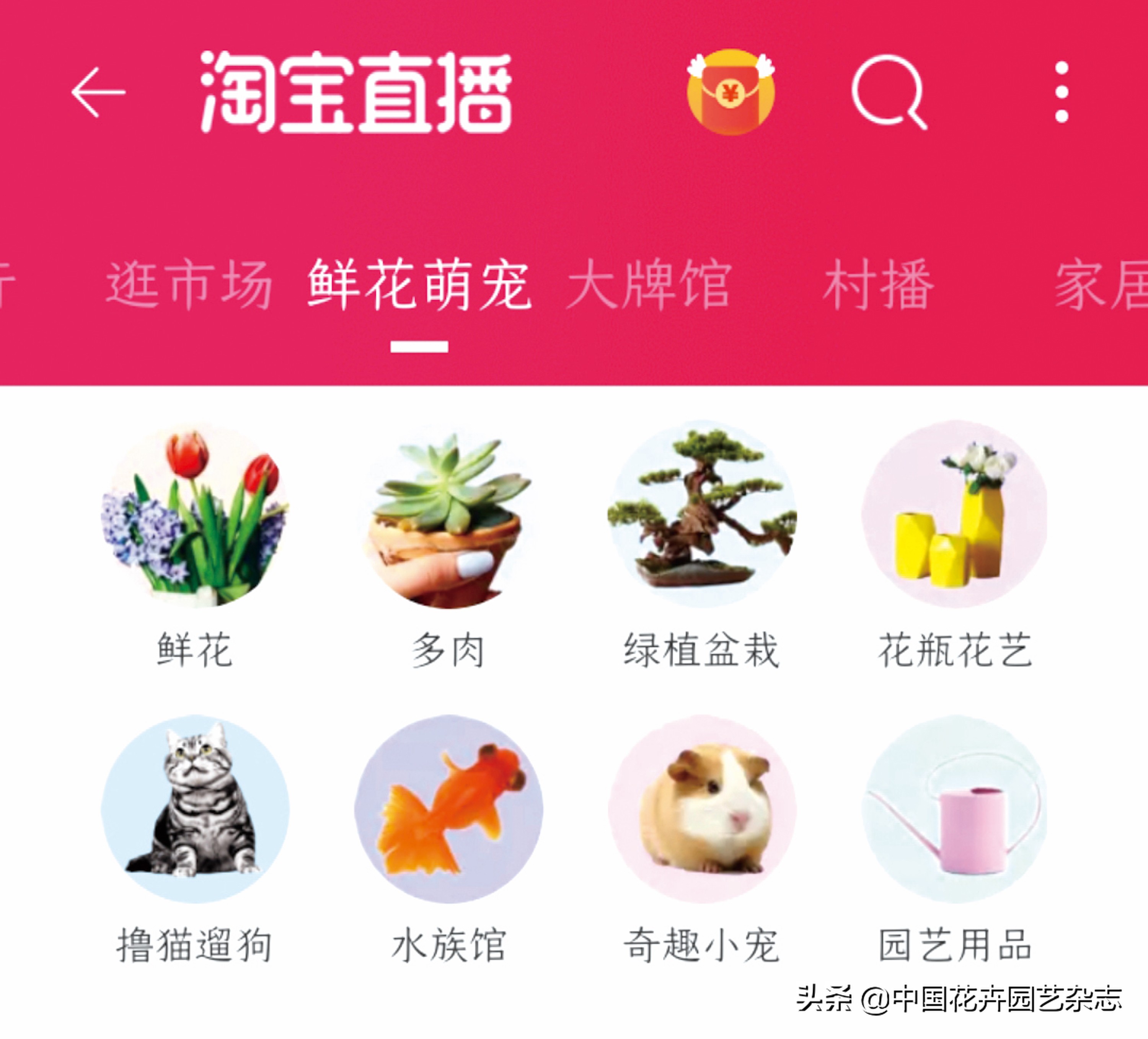 传统电商平台:不变的是一直在变|《中国花卉园艺》2020年7期专题