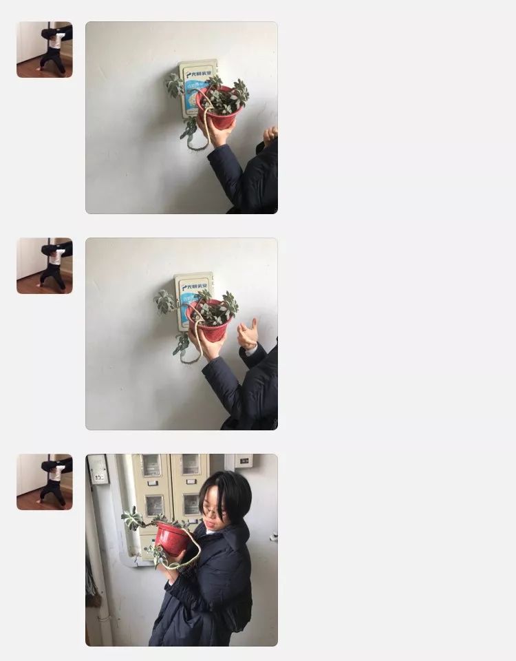 什么花最受女孩欢迎,女孩子中比较受欢迎的花