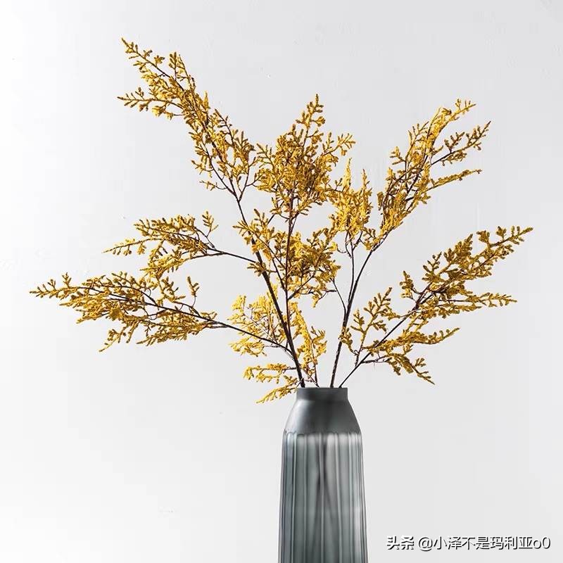 年轻人都在逛的宝藏家居店,好用又平价的家居店铺