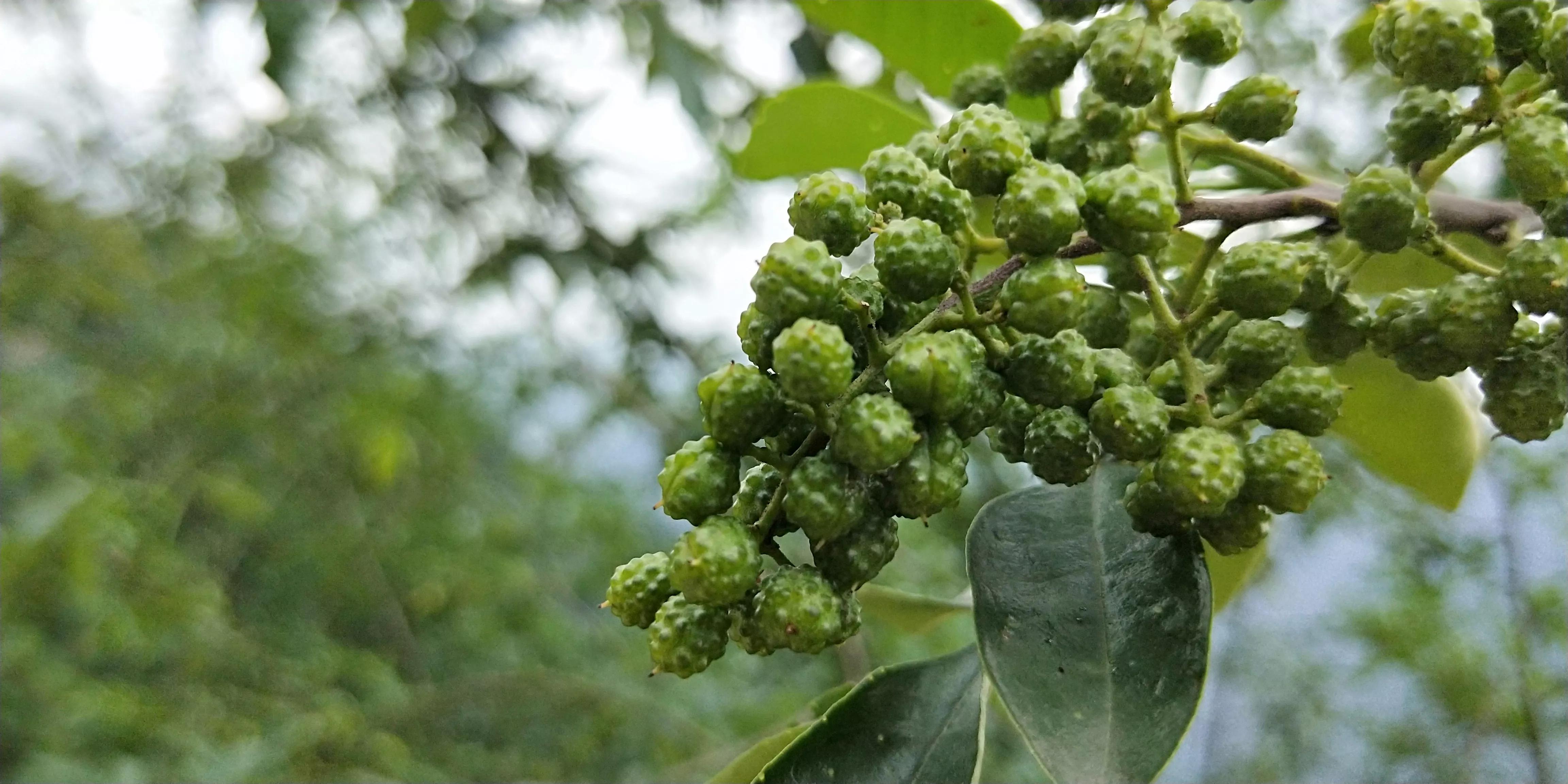 暴利工业废料变废为宝,重庆大叔将加工废蒸汽变废为宝