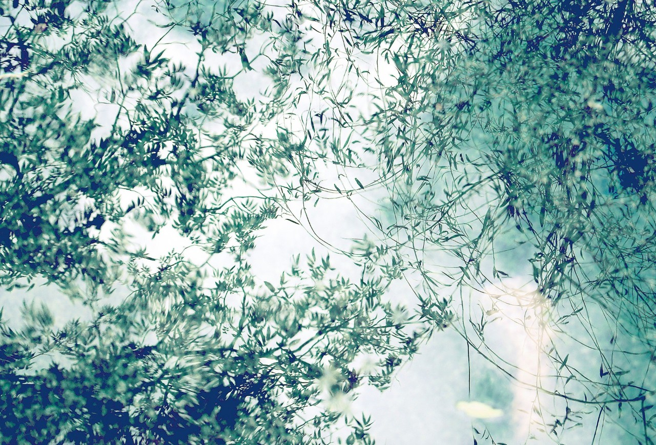 春暖花开等风等雨也等你诗词,10首最美秋夜诗词