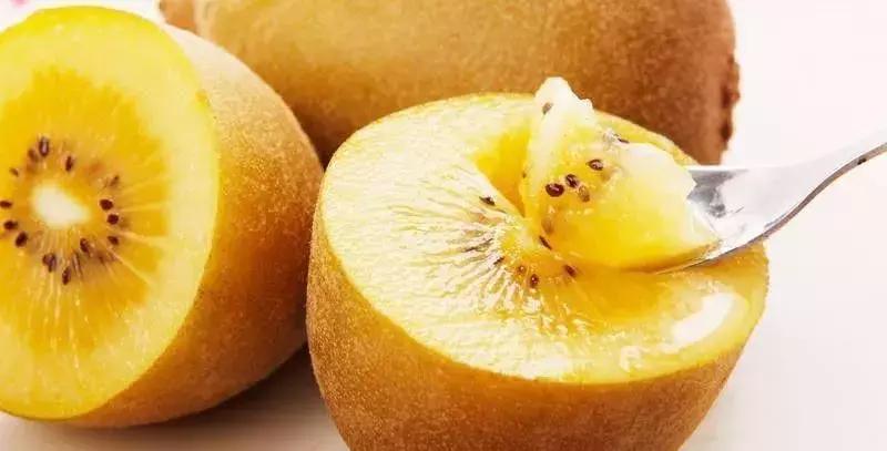 金秋采摘正当时!山东这十种田间美味错过再等一年!