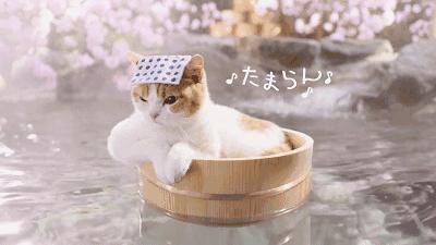 深圳周边一日游温泉,不用去日本就能看到的海